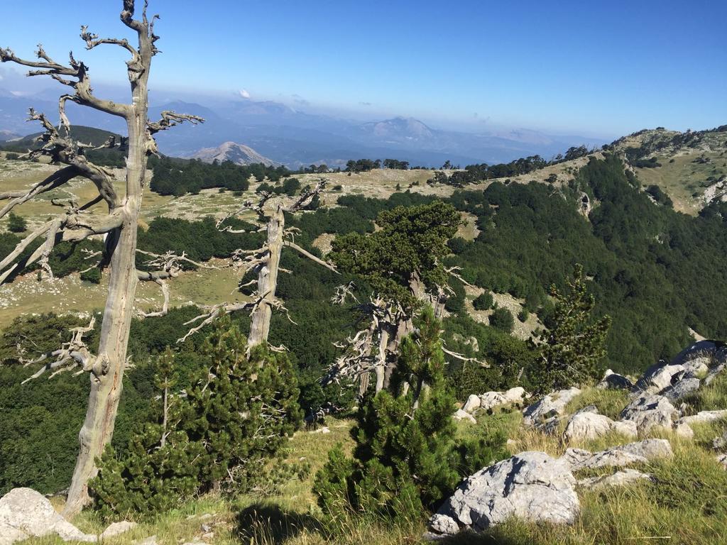 La Stella Del Pollino Hotell San Lorenzo Bellizzi Eksteriør bilde